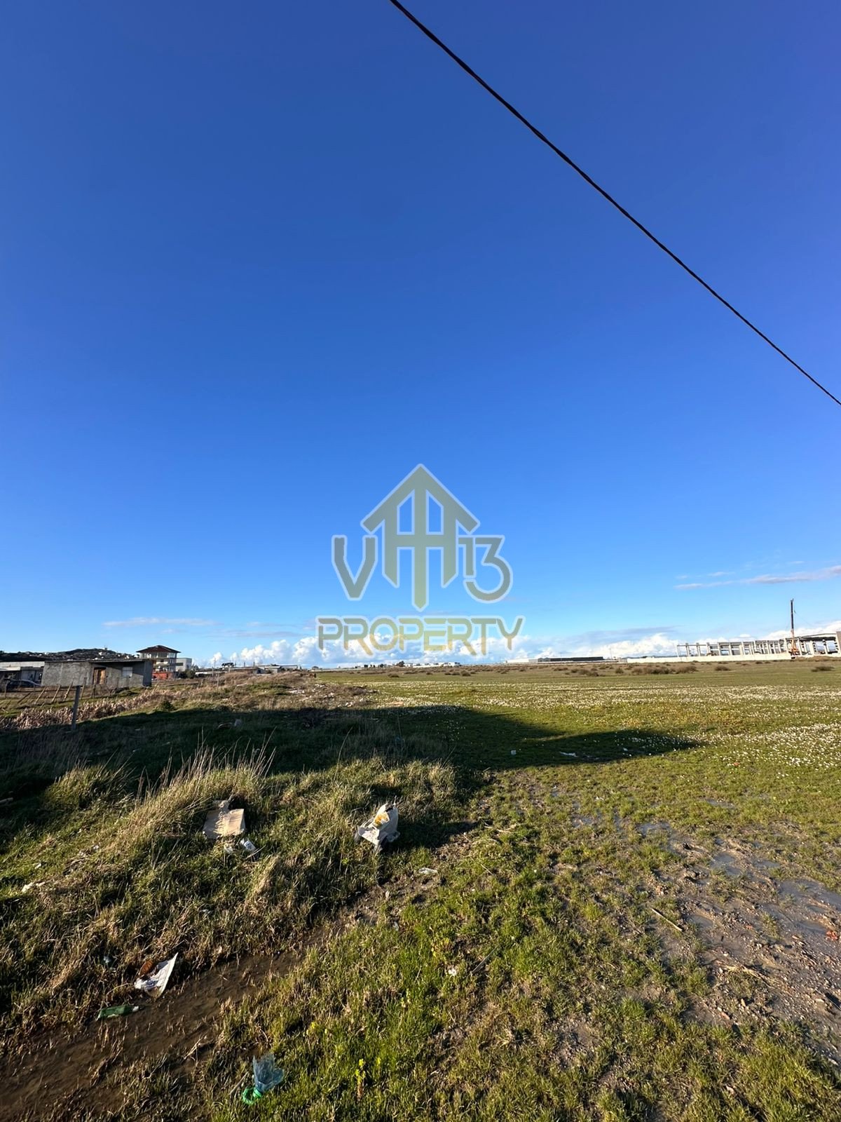 WhatsApp Image 2026-01-31 at 3.09.48 PM